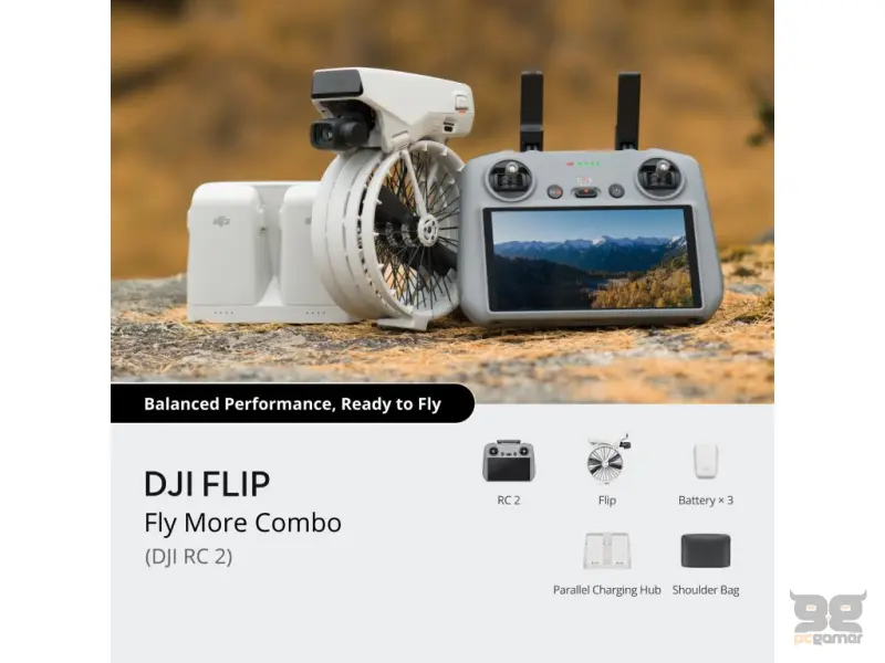 DJI FLIP Fly More Combo (DJI RC 2),4K/60 HDR, 48MP Photo, 31-Min Flight Time, Vertical View,<249g,C0