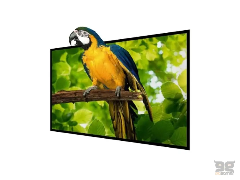 BW-VS4 100inch Projector Screen