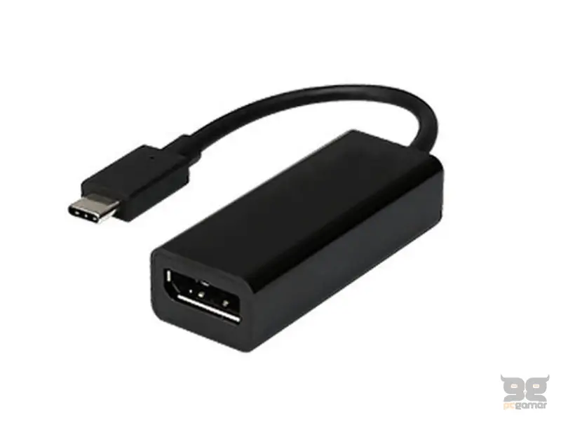 FAST ASIA Adapter-konvertor TIP C na Display Port 