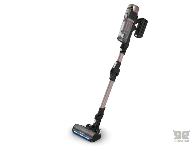 Rowenta X-FORCE flex 16.6 RH9CD9E0