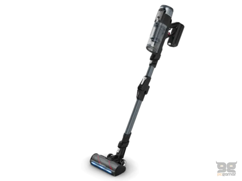 Rowenta X-FORCE flex 16.6 RH9C71E0