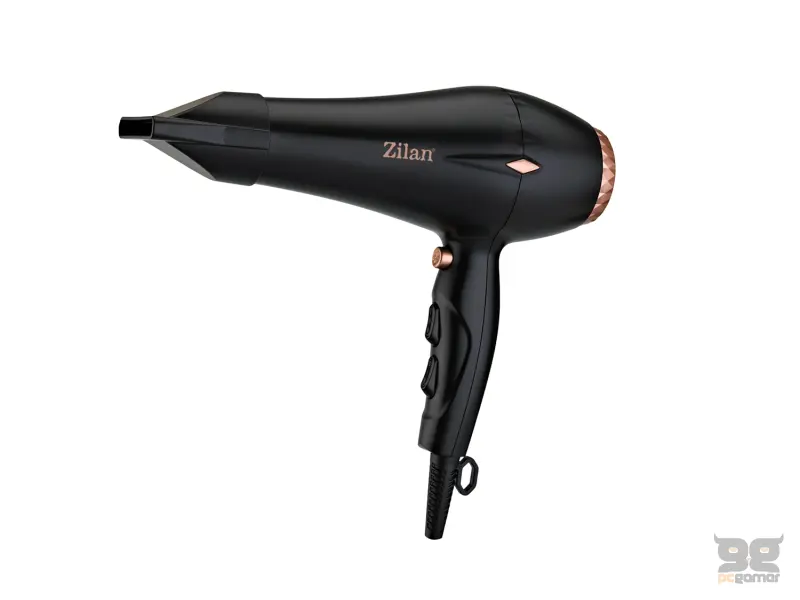 ZILAN FEN ZILAN 2200 W