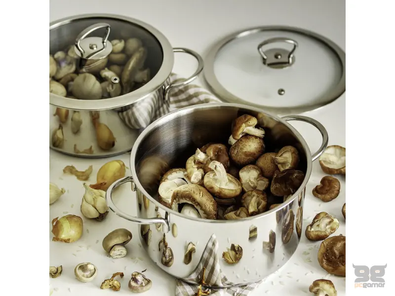 METALAC INOX DU.SE.20 SA ST.PO