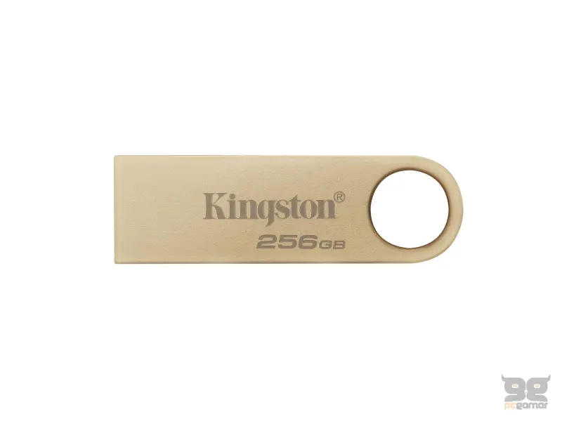 KINGSTON 256GB USB 3.0 flash DTSE9G3/256GB champagne