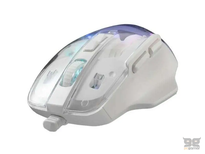 Baracuda ANGLERFISH - Bijeli