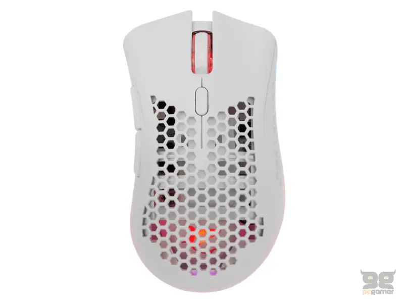 White Shark LIONEL bijeli