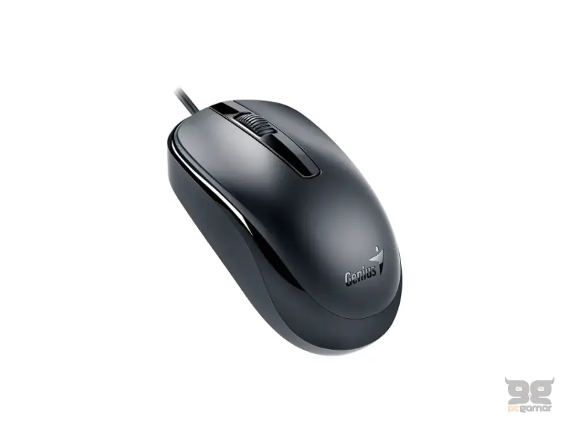 GENIUS DX-120 USB-C Optical crni miš 