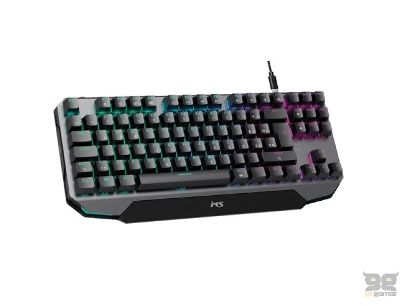TAST MS ELITE C905 US gaming