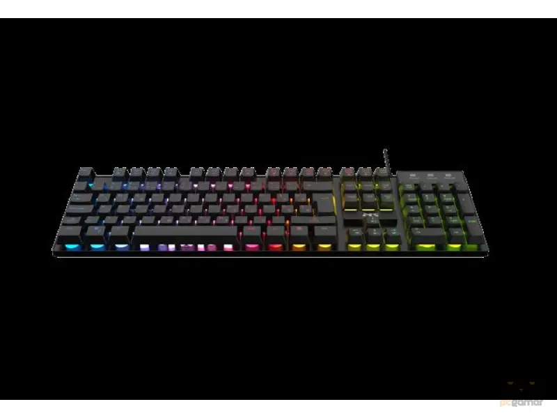 KB MS ELITE K-501C
