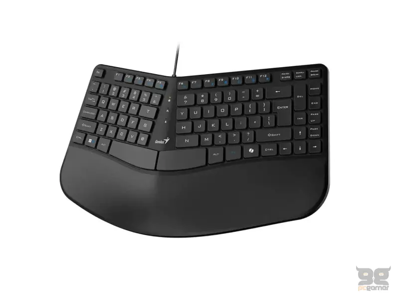 GENIUS Ergo KB-700 USB US crna