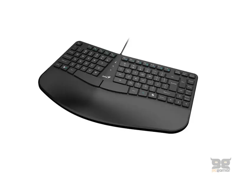 GENIUS Ergo KB-700 USB US crna