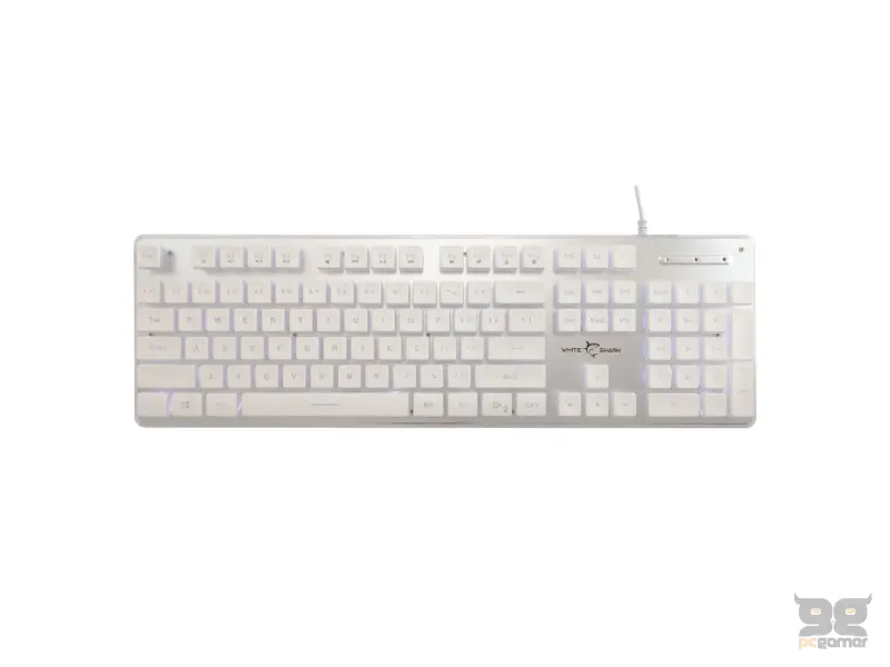 White Shark TACHI Bijela