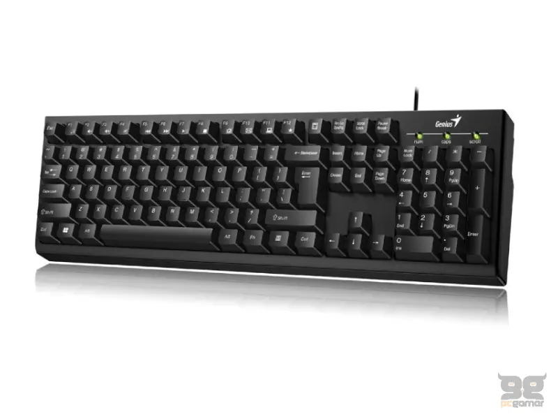 GENIUS KB-100 USB US crna tastatura 