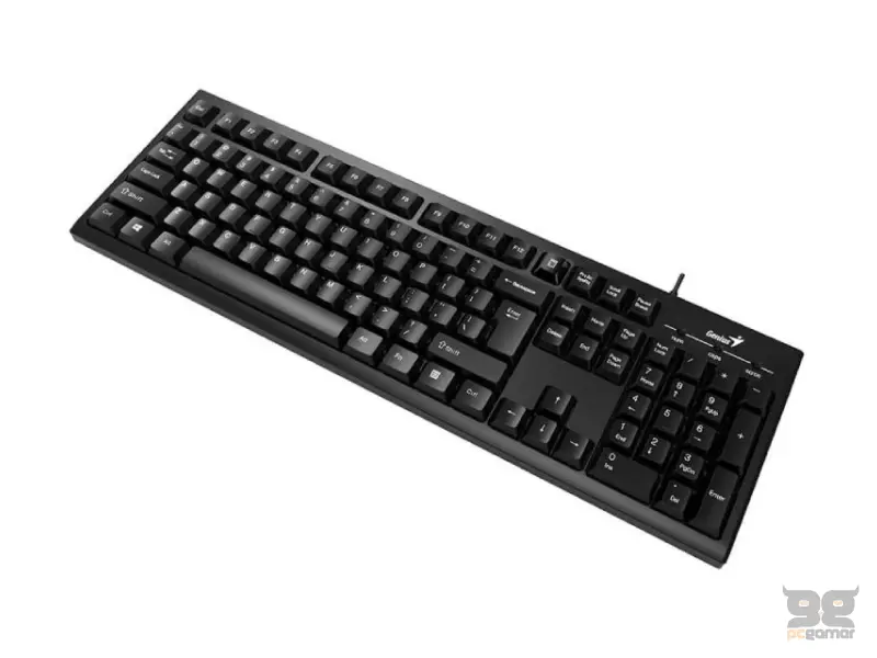 GENIUS KB-100 USB US crna tastatura 