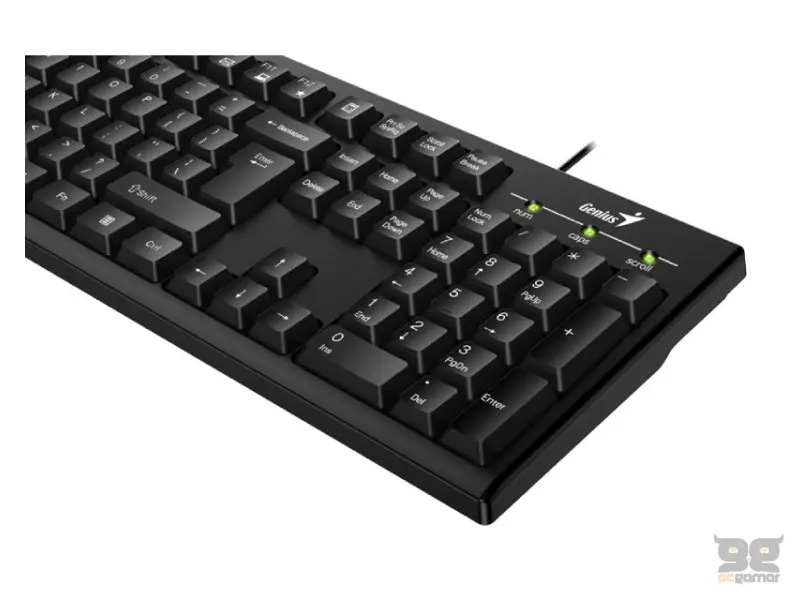 GENIUS KB-100 USB US crna tastatura 