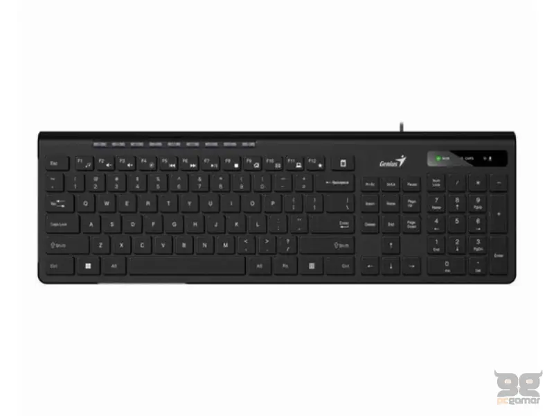 GENIUS Slimstar 230II USB US crna tastatura 