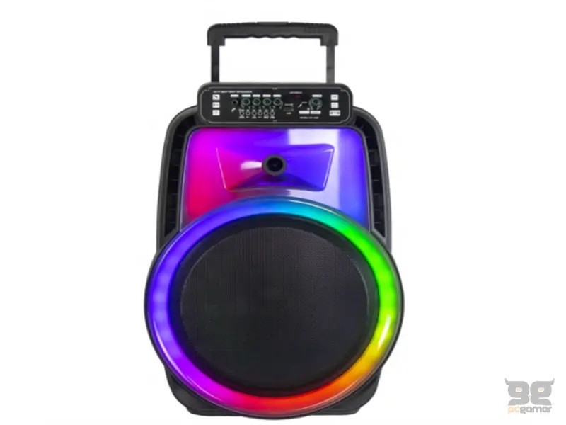 AVCROWNS CH-1228 Prenosivi Karaoke Bluetooth Zvučnik 