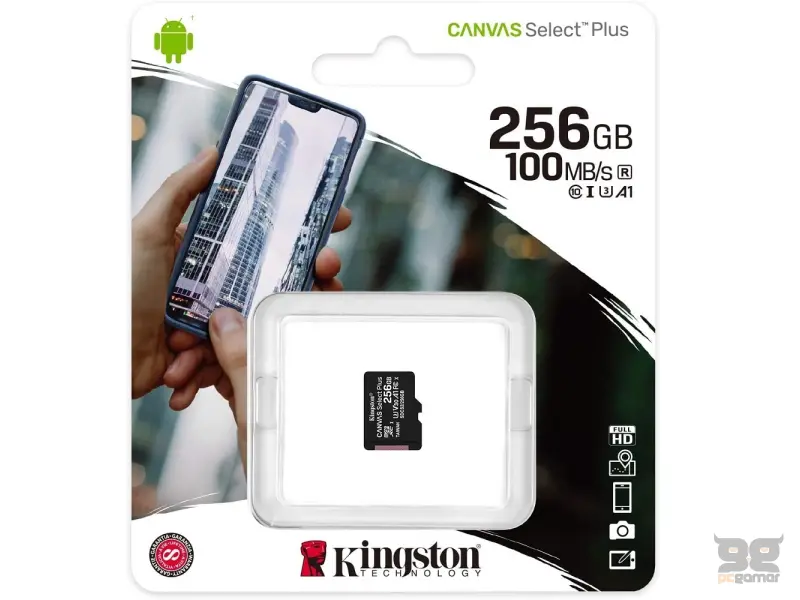KINGSTON Memorijska kartica A1 MicroSDXC 256GB 100R class 10 SDCS2/256GBSP 
