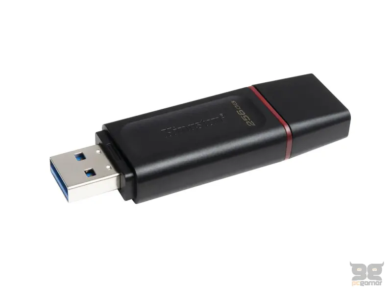 Kingston UFD 256GB DTX KIN