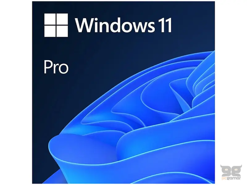 MICROSOFT Windows 11 Pro FPP 64-bit (HAV-00164) 