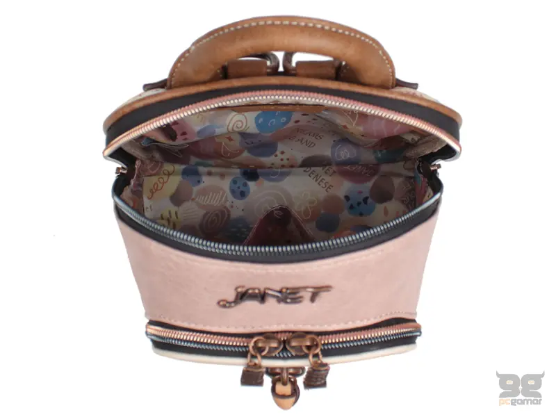 JANET J-110 A TOUR OF ROME Ranac 