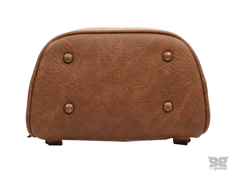 JANET J-110 A TOUR OF ROME Ranac 