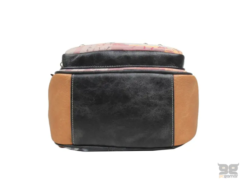 JANET J-106B ART GALLERY Ranac 