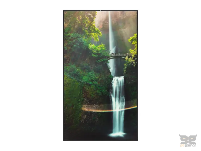 HISENSE 55 inča 55WH80F 4K UHD 4000 nita Window Facing - High Brightness Display 