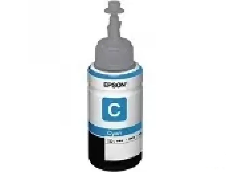 EPSON C13T66424A