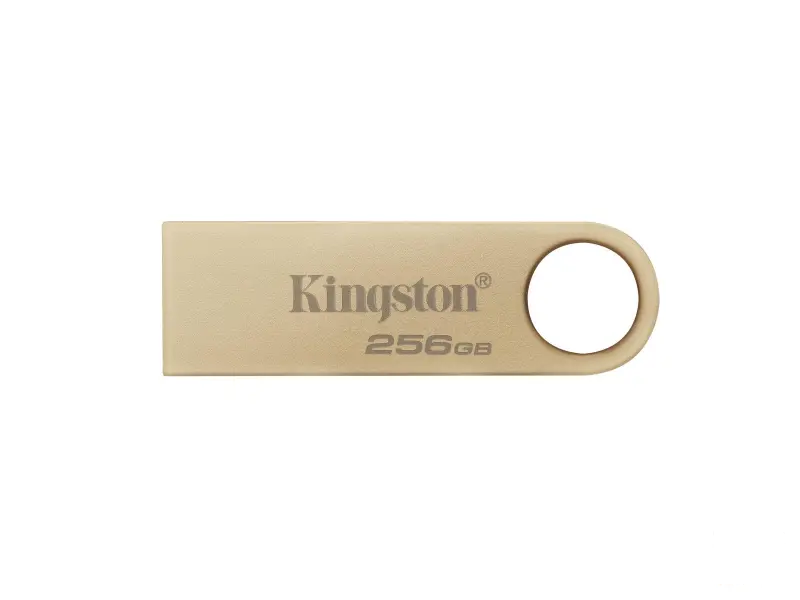 KINGSTON 256GB USB 3.0 flash DTSE9G3/256GB champagne