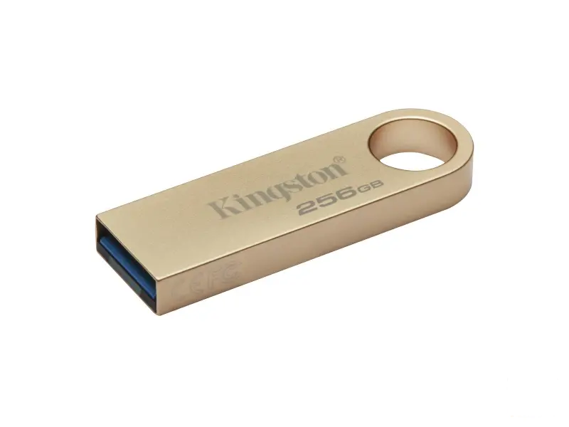 KINGSTON 256GB USB 3.0 flash DTSE9G3/256GB champagne