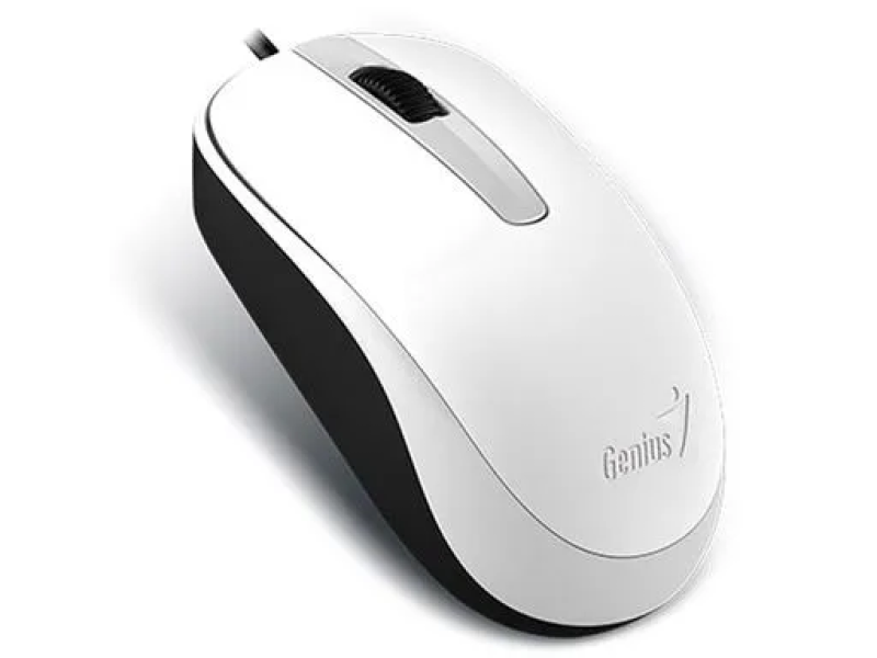 Genius Miš DX-120 USB. bijeli, 1000dpi, 3 buttons, optical