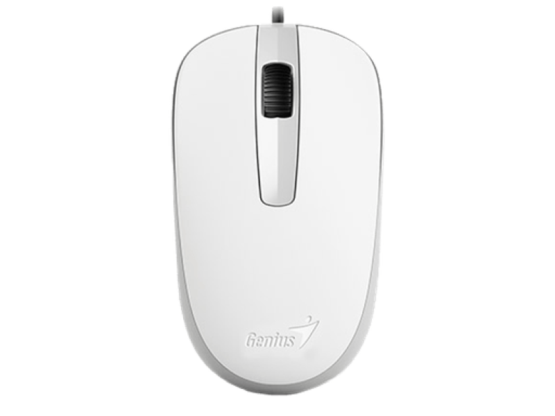 Genius Miš DX-120 USB. bijeli, 1000dpi, 3 buttons, optical