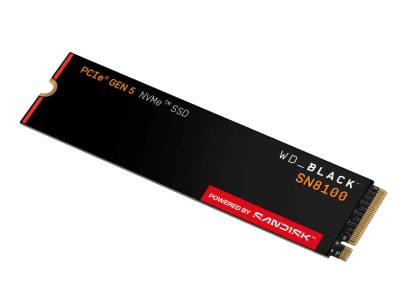 WD 1TB M.2 NVMe SSD Gen5 WDS100T1X0M SN8100 Black