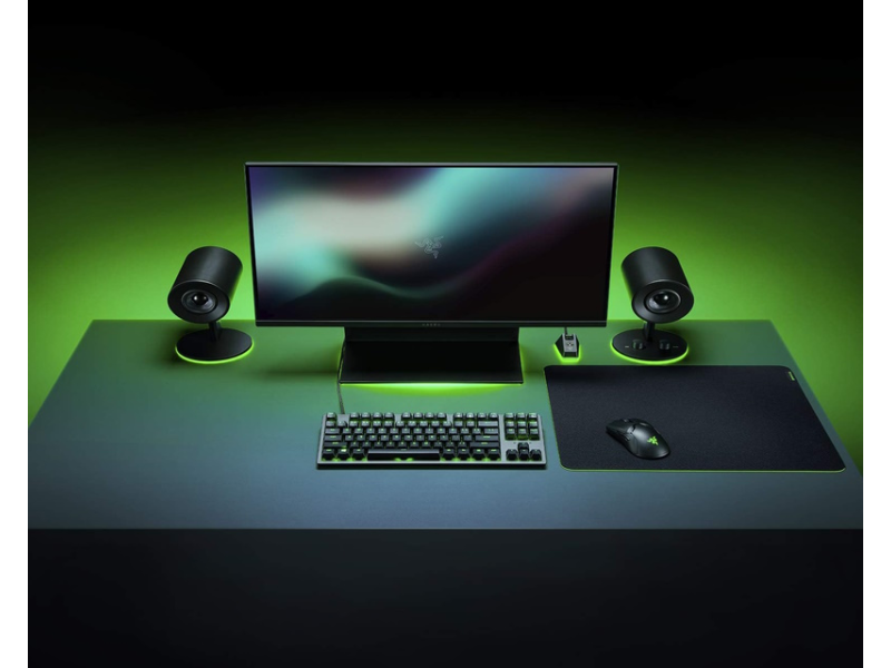 RAZER Gigantus V2 Large podloga za miš RZ02-03330300-R3M1