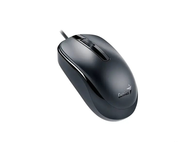 GENIUS DX-120 USB-C Optical crni miš 