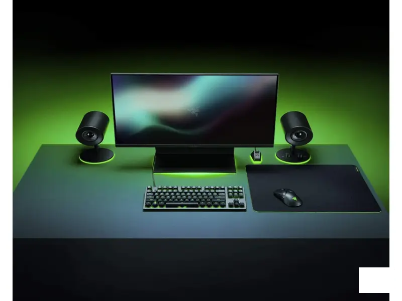 RAZER Gigantus V2 podloga za miš crna (RZ02-03330400-R3M1) 