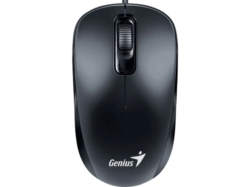 GENIUS DX-110 USB-C Optical crni miš 