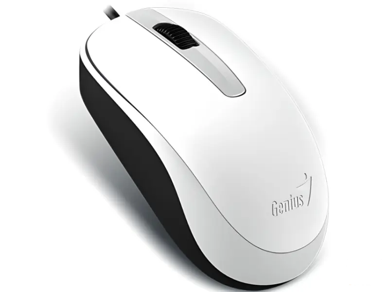 GENIUS DX-120 USB Optical beli miš 