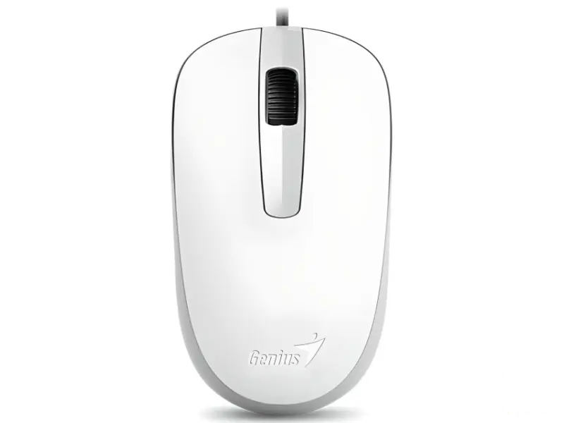 GENIUS DX-120 USB Optical beli miš 