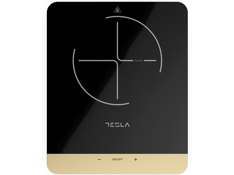 Tesla IC401B