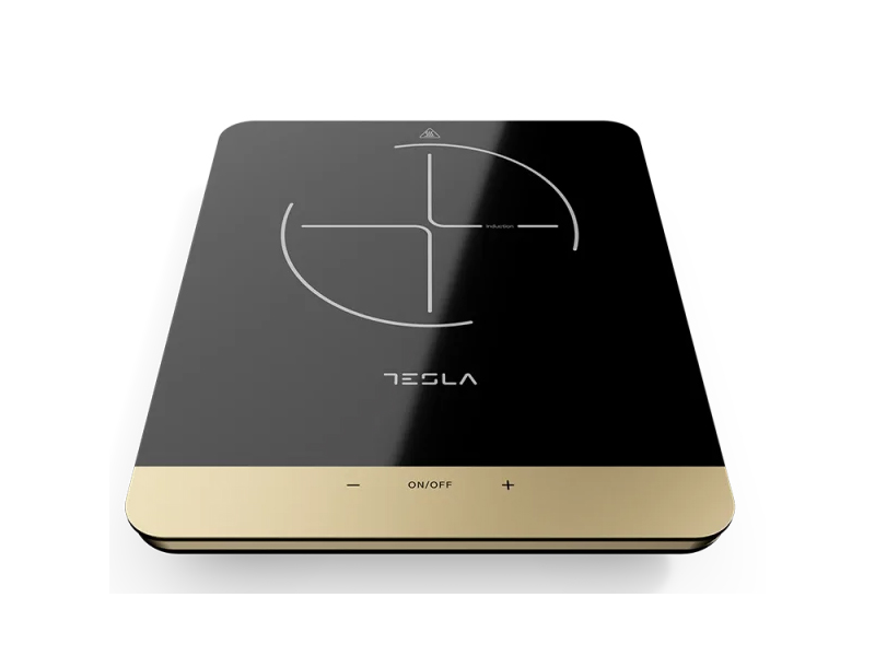 Tesla IC401B