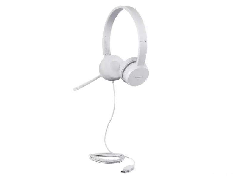 Lenovo GXD1E71385 110 Stereo USB slusalice sa mikrofonom
