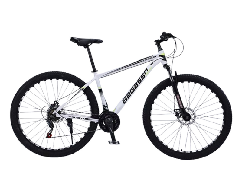 Begasso TY-1049 27.5"