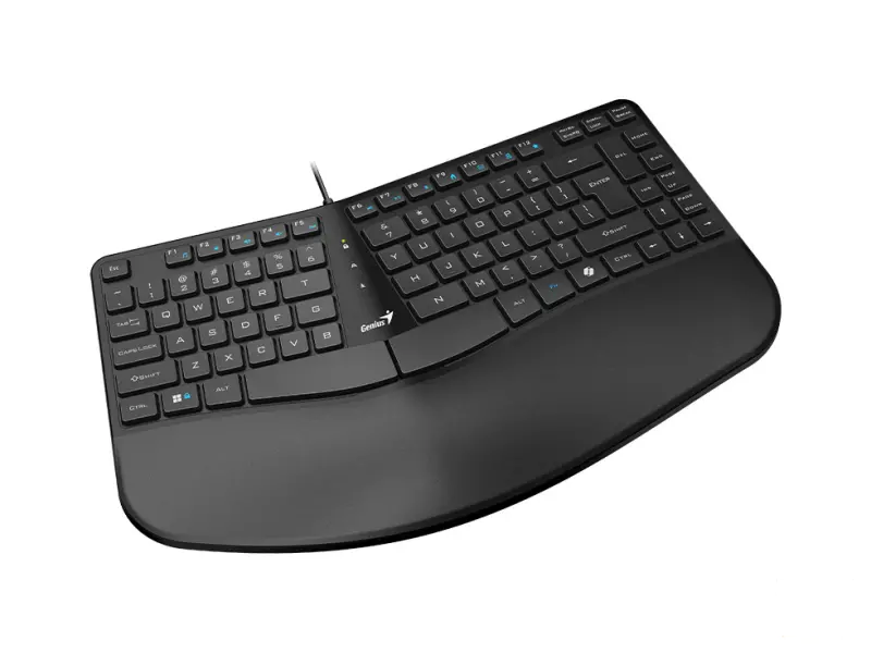 GENIUS Ergo KB-700 USB YU crna tastatura