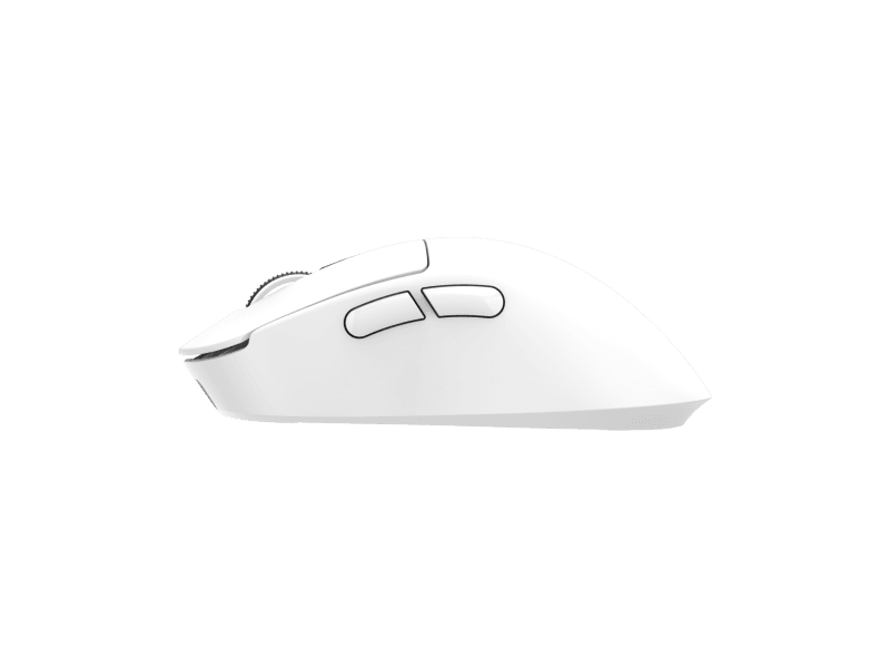 White Shark GAWAIN  Bijeli