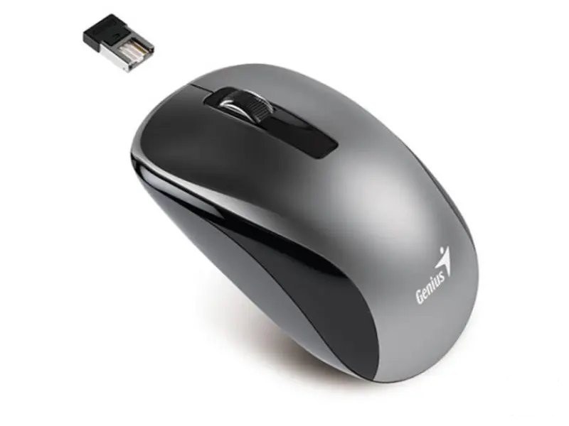 GENIUS NX-7010 Wireless Optical USB sivi miš 