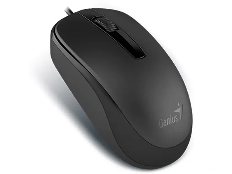 Genius 31010105100 DX-120 Opticki USB mis