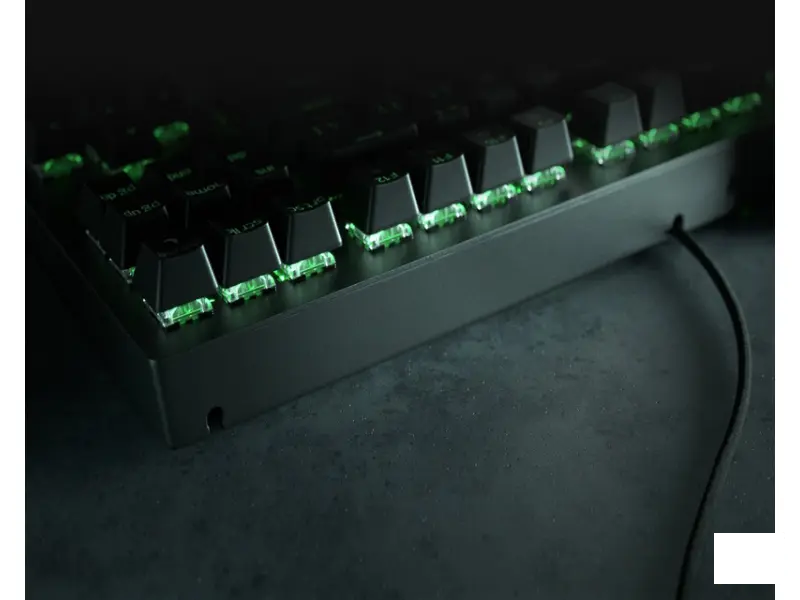 RAZER Razer BlackWidow V3 Tenkeyless USB mehanička gejmerska US tastatura Green Switch