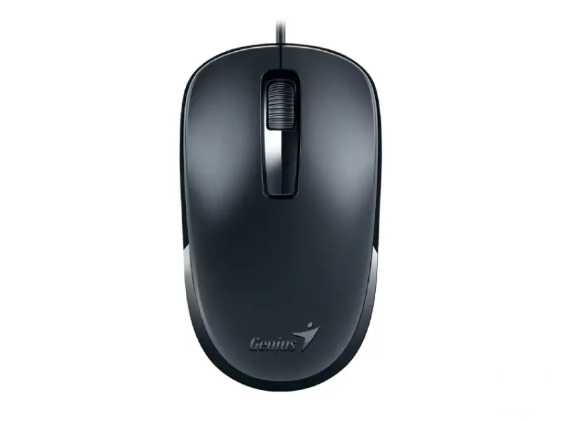 GENIUS DX-125 USB-C Optical crni miš 